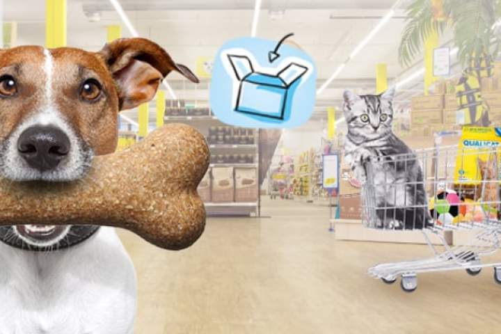 Banner-Logo-Stelleninserat